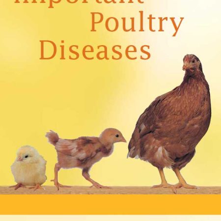 farmpays Important Poultry Diseases My Account