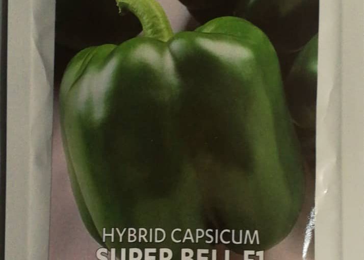 Sweet Pepper Seeds-Superbell F1- (Continental seeds)