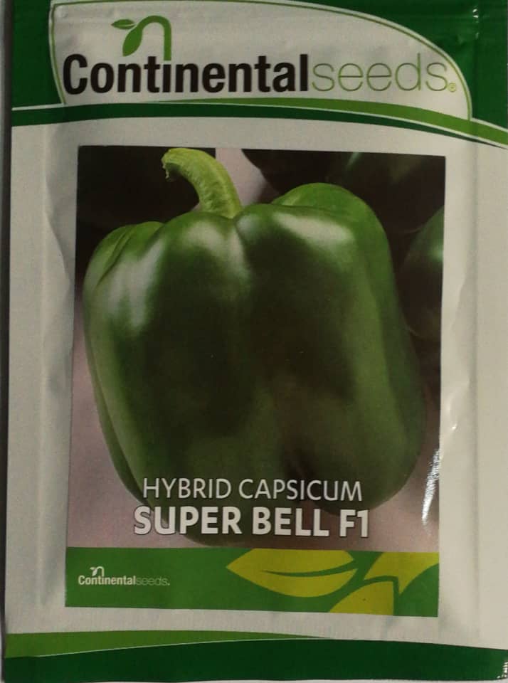 Sweet Pepper Seeds-Superbell F1- (Continental seeds)