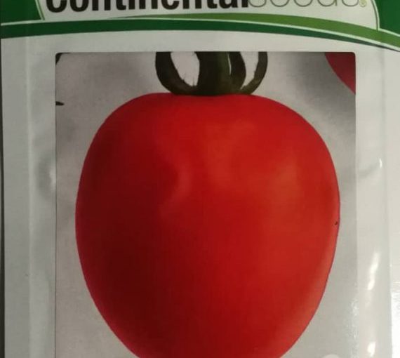 CONTINENTA MAXIM 10GRM TOMATO