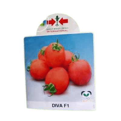 ABC SEEDS TOMATO UC82B