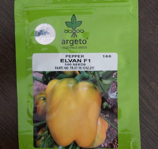 ARGETO ELVAN F1 500SEEDS