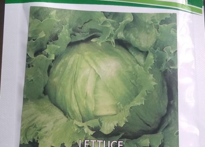 CONTINENTAL SEED LETTUCE 10GRM