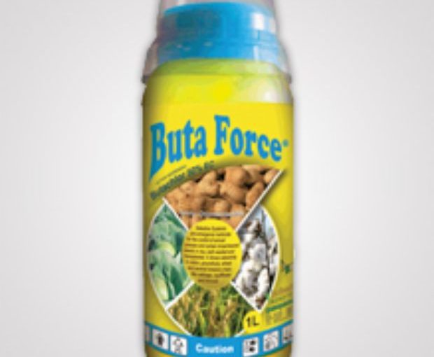 BUTAFORCE