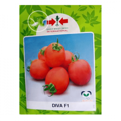 high quality tomato seeds