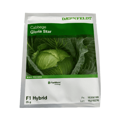 Gloria Star F1 Cabbage Seeds (Syngenta | 25g)