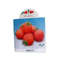 ABC SEEDS TOMATO UC82B