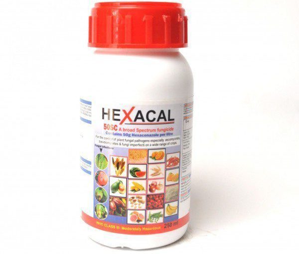 HEXACAL 100ML