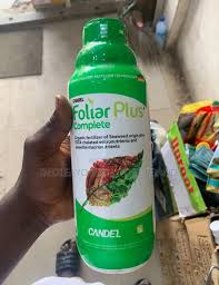 FOLIAR PLUS 1LTR