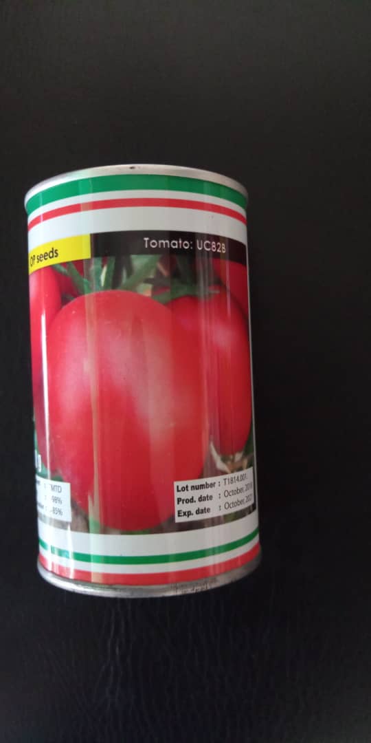 Tomato Seeds (UC82B | 100g | 20pcs per Carton)