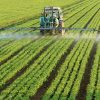 Spraying herbicides Harrowing + Tractor Per acre Herbicide Spraying Per acre
