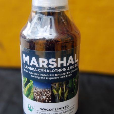 Marshal (Insecticides)