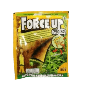 Force up sachet