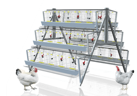 3 Tier Battery Cage (Fully Galvanized | Local PVC Feeders |120 Birds Capacity)