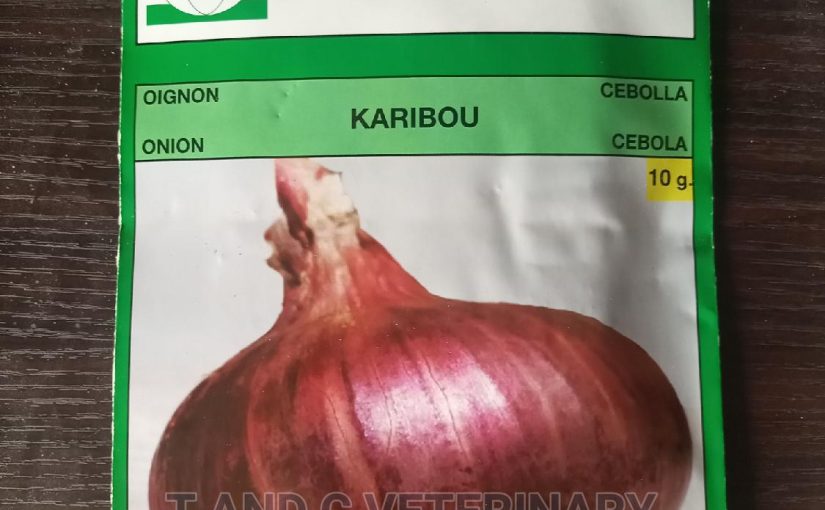 TECNI SEED ONION