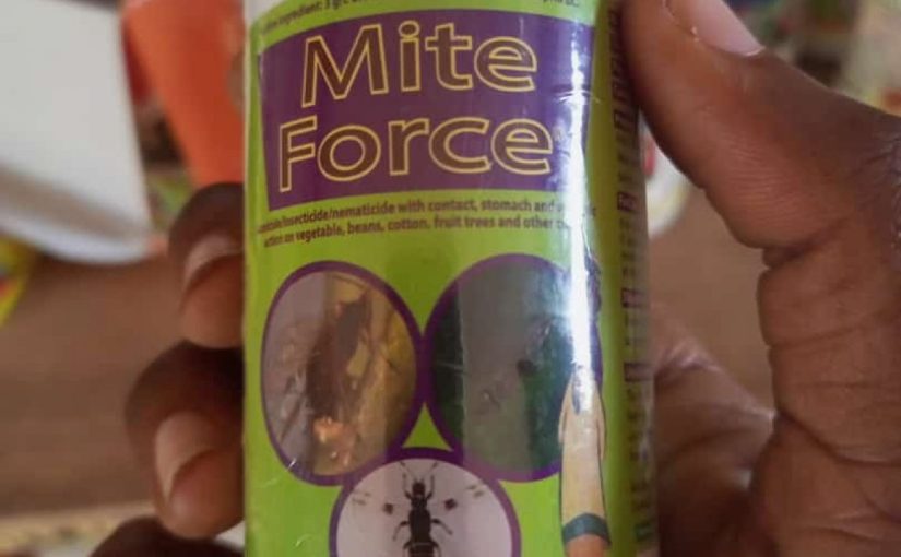 MITE FORCE