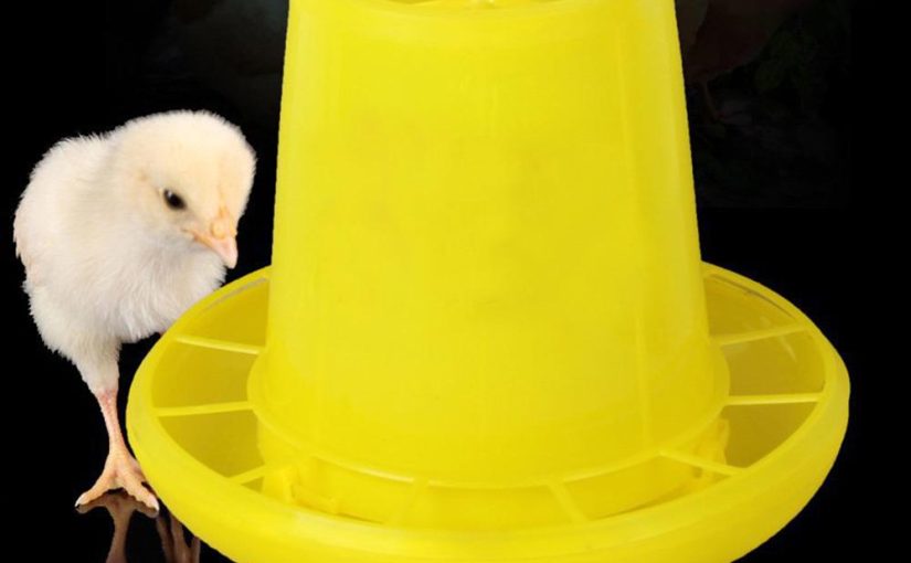 Poultry Feed Bucket (1.5kg | 2.5kg | 4kg)