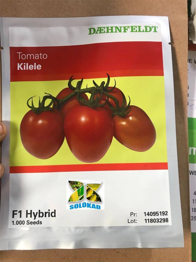 Kilele F1 Hybrid Tomato Seeds