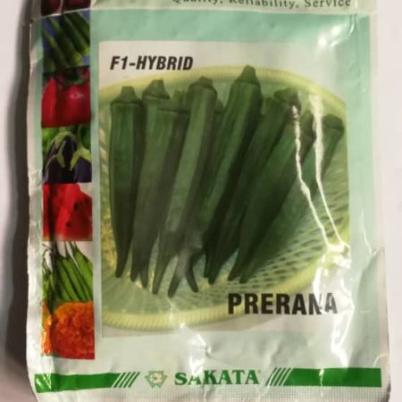 Okra Hybrid Prerana F1 seeds