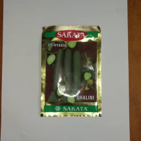 Shalini Cucumber Seeds