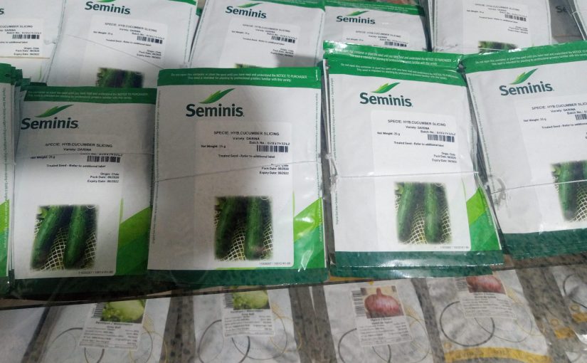 Cucumber Hybrid Seeds