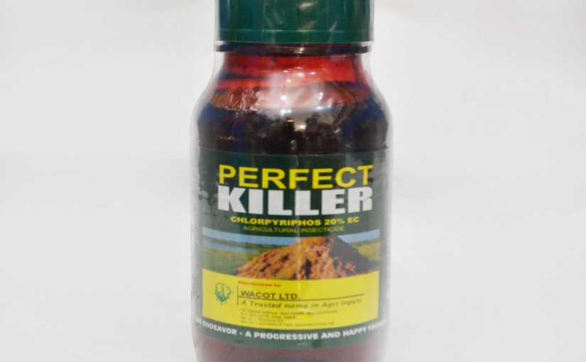 Perfect Killer ( 1 Litre Insecticide)