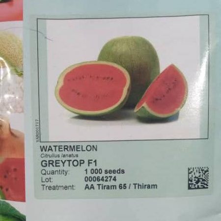 Greytop F1 Hybrid Watermelon Seeds