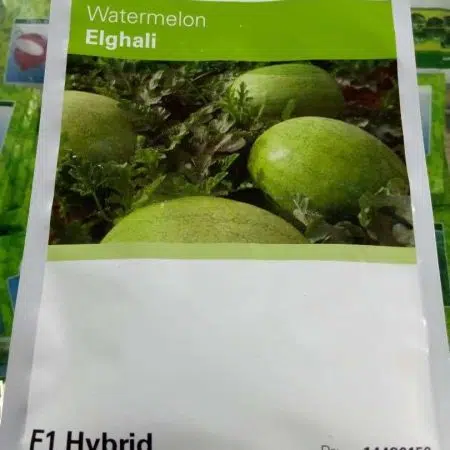 Elghali F1 Watermelon Hybrid Seeds