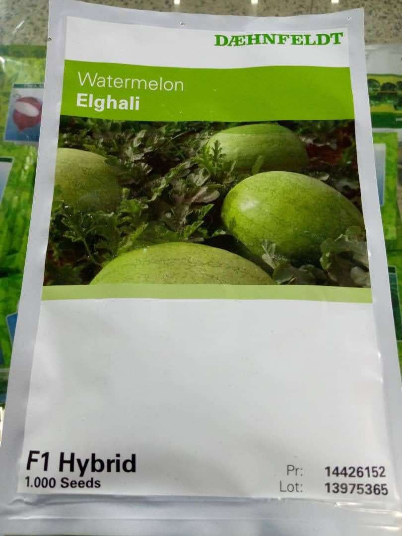 Elghali F1 Watermelon Hybrid Seeds