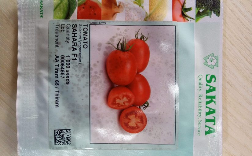 Tomato Hybrid seeds -Sahara F1
