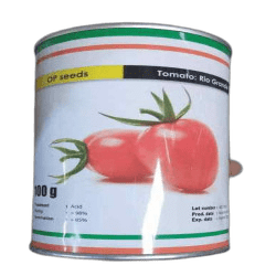 Tomato Rio Grande Seeds (OP Seeds) -100g