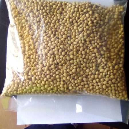 Soya Beans for Planting