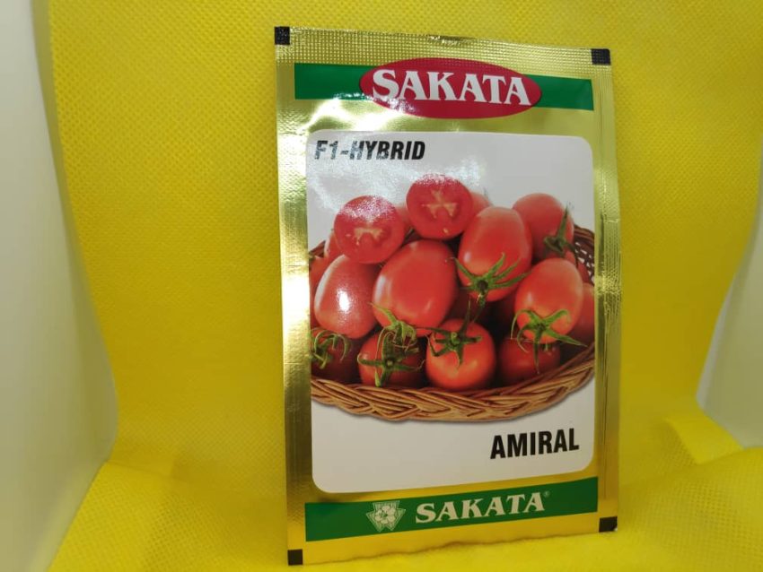 Tomato Amiral F1-Hybrid Seeds
