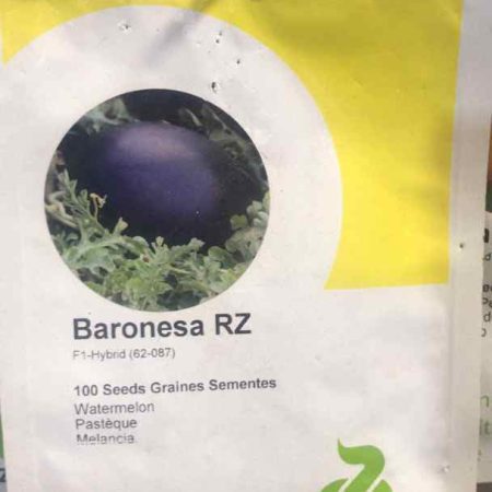 Baronesa RZ F1 Watermelon Hybrid Seeds (Rijk Zwaan Brand)