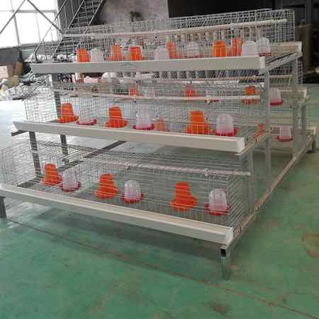 Affordable Imported Brooding Cage (For Broiler and Layer | 3 Tiers)