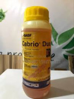 Cabrio Duo Fungicide (250ml | BASF Brand)