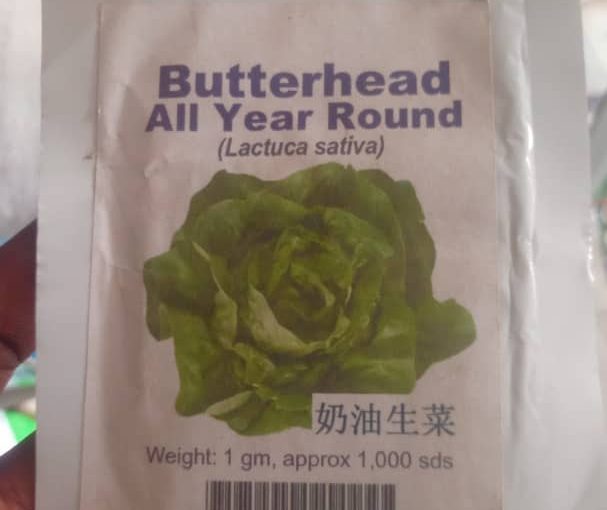 Butterhead