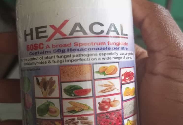 Hexacal Fungicide