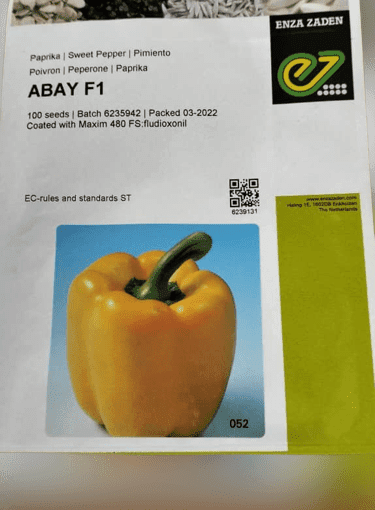 Abay F1 Sweet Pepper