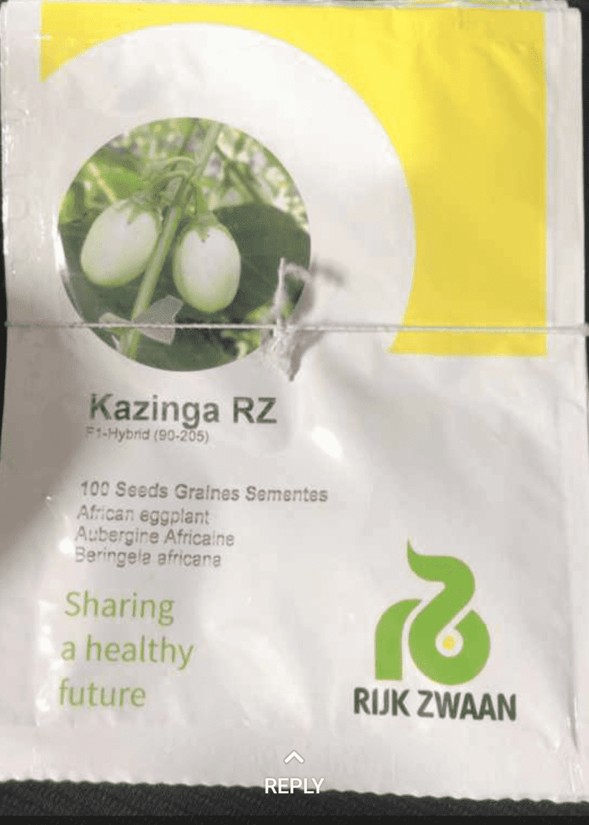Kazinga RZ F1 Hybrid Eggplant