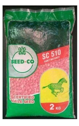 Maize Hybrid Seeds Variety (SC 510) -2kg