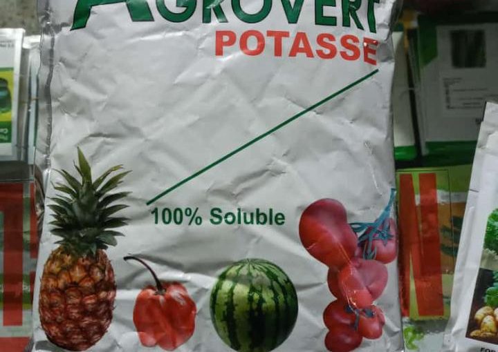 Agrovert Potasse Fertilizer