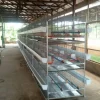 Battery Cages For Broilers