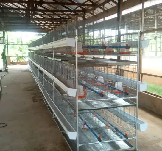 Battery Cages For Broilers