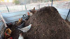 Prospects and Potential Poultry Manure (25kg)