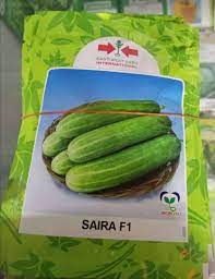Saira F1 Cucumber Seeds (East West Seed | 10g)