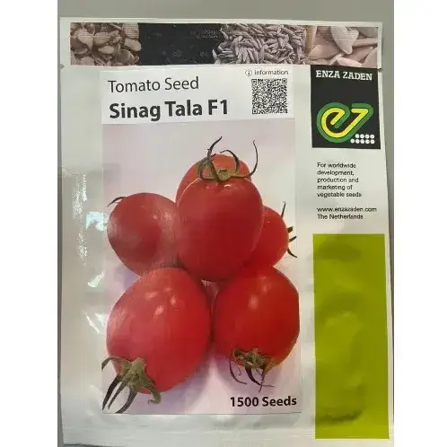 Sinag Tala F1 Hybrid Tomato Seeds
