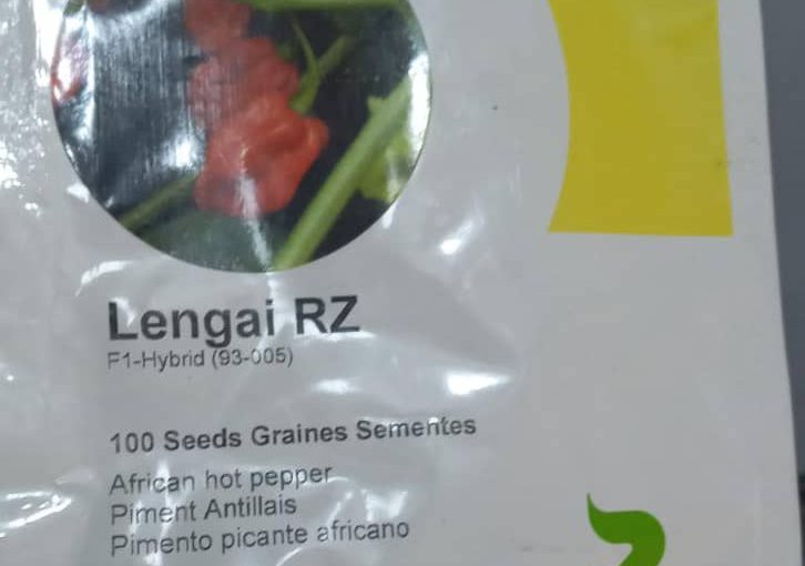 Lengai RZ F1 Habanero pepper Seeds