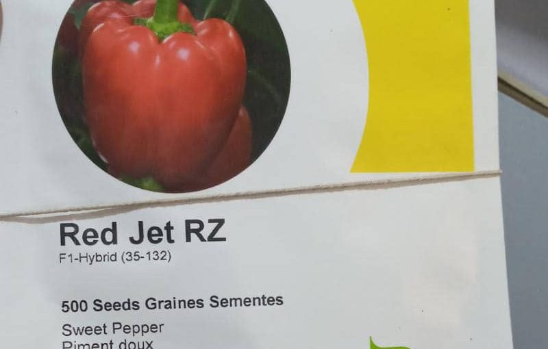 Red Jet Sweet Pepper Hybrid Seeds F1