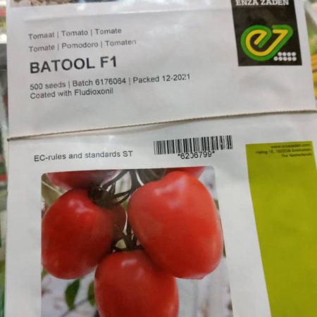 Tomato seeds